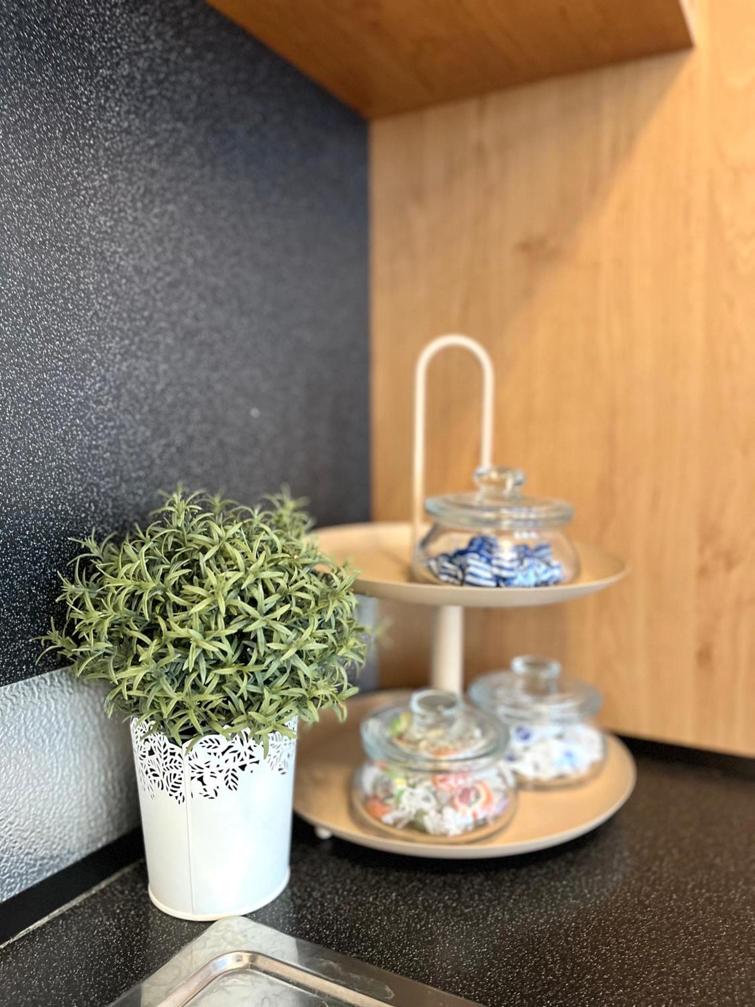 ברטיסלאבה Apartment Tina - Old Town, Ac, Free Private Parking מראה חיצוני תמונה